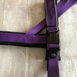 Purple comfort harness
